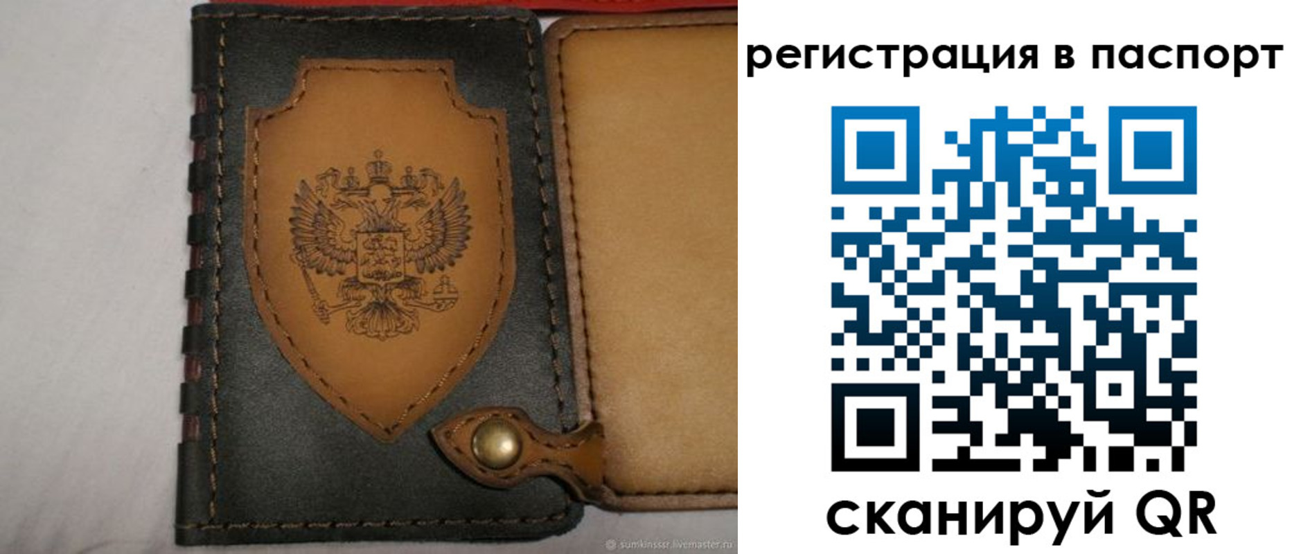 прописка поиск в Королёве